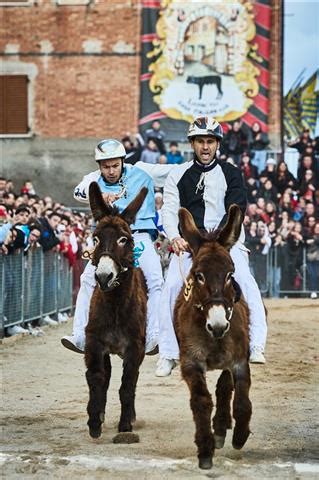 Torrita Di Siena La Contrada Porta Nova Con Il Fantino Cobra Sul