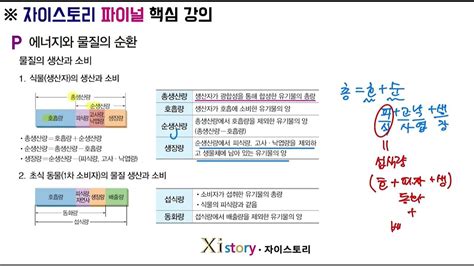 생명과학1 P단원 에너지와 물질의 순환1 개념강의 Youtube