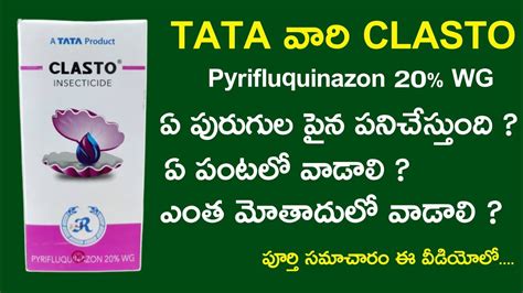 Tata Clasto Insecticide Uses Telugu Price Clasto Tata Insecticide