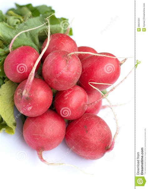 Bunch Of Radish Isolated On White Closeup Stock Image Image Of Tasty