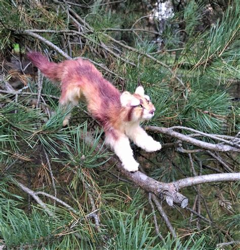 Wild cat realistic animal stuffed animal art doll OOAK | Etsy