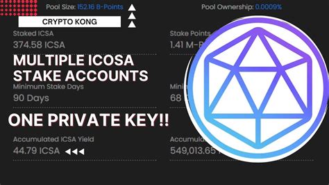 How To Set Up Stake Icosa YouTube