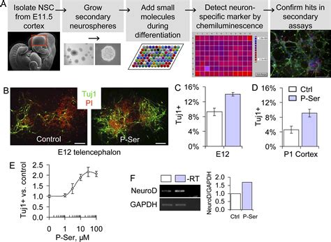 A Phenotypic Small Molecule Screen Identifies An Orphan Ligand Receptor