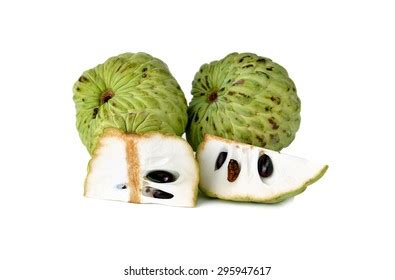 Custard Apple Fruit On White Background Stock Photo