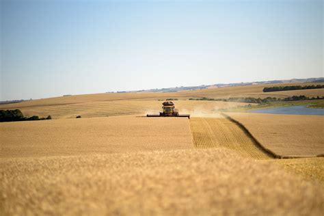 Tbio Em Campo Em Uma Safra De Cen Rios Diversos Produ O Nacional