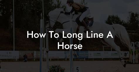 How To Long Line A Horse - How To Own a Horse