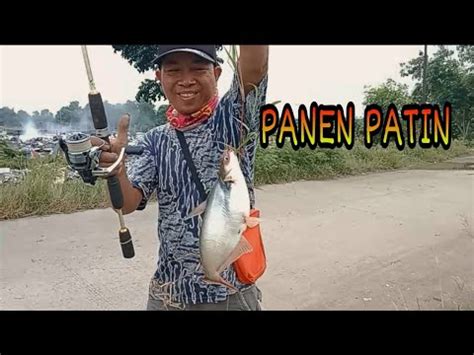 MANCING IKAN Rejekii Noplok Strike Dapat Ikan Patin Super Jumbo