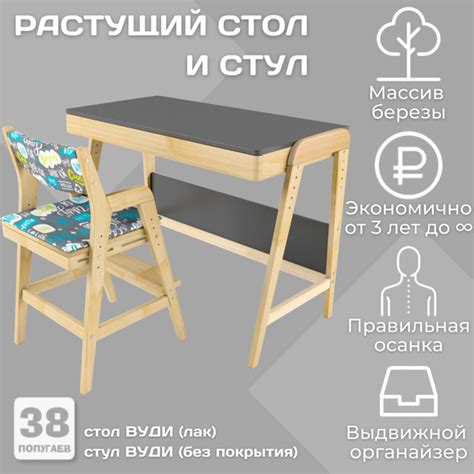 Письменный стол растущий и стул комплект с чехлом 38 попугаев Вуди ...