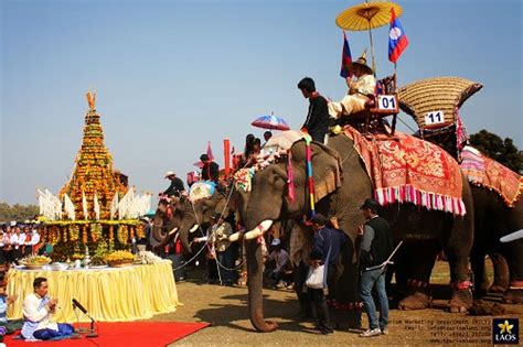 Elephant Festival In Laos