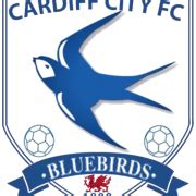 Cardiff City F.C PNG Picture | PNG All