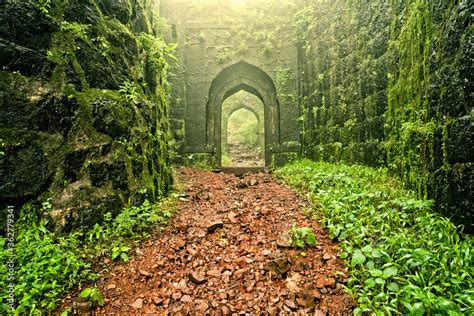 View of Shivaji's pratapgarh fort near mahabaleshwar, maharashtra ...