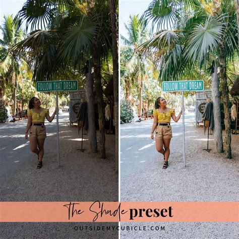 FREE Lightroom Preset BIPOC Brown Skin Dark Skin Tan Skin