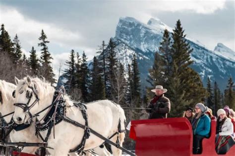 Banff Sleigh Rides | Discover Banff Tours