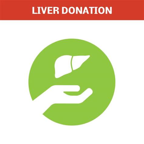 50 Liver Transplant Symbol Stock Photos Pictures And Royalty Free