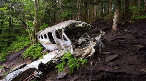 4 Children Miraculously Found Alive Nearly 3 Weeks After Plane Crash in ...