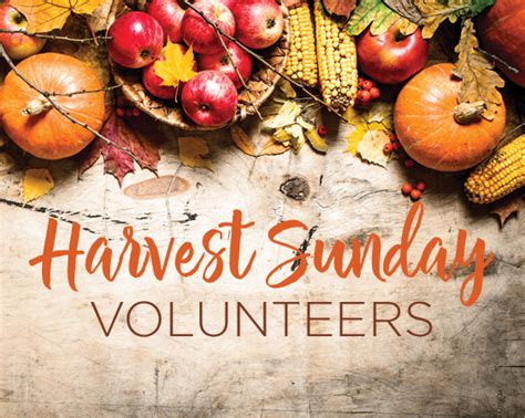 Sign Up to Volunteer for Harvest Sunday - a St. Thomas Tradition