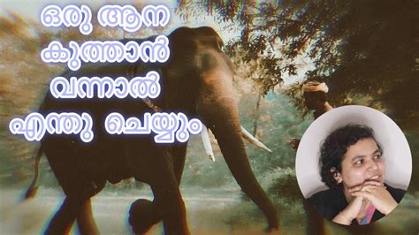 ഒരു ആന കുത്താൻ വന്നാൽ എന്തു ചെയ്യും I Elephant Charge Survival