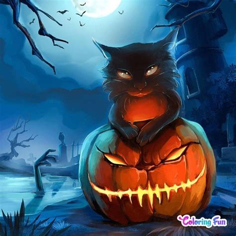 a black cat sitting on top of a pumpkin in front of a moon filled sky