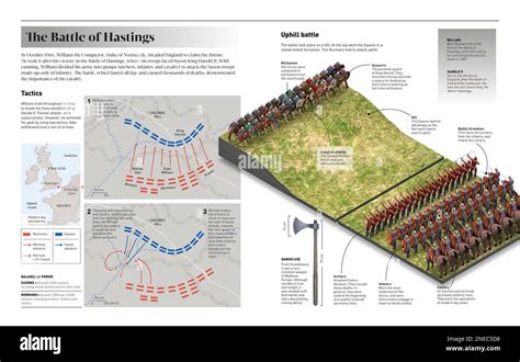 Infographic about the Battle of Hastings (1066), war in which Norman