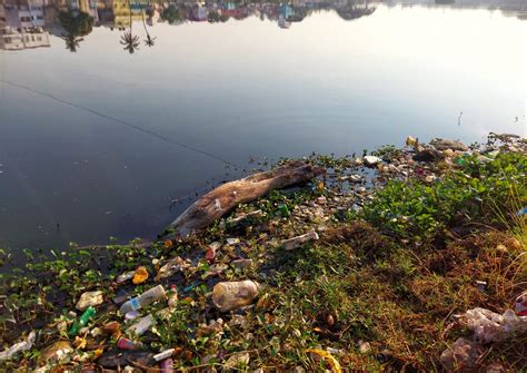 Garbage And Plastic Dumps Pollutes The Lake PixaHive