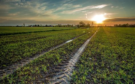 Wallpaper Sunlight Landscape Sunset Nature Green Morning Farm