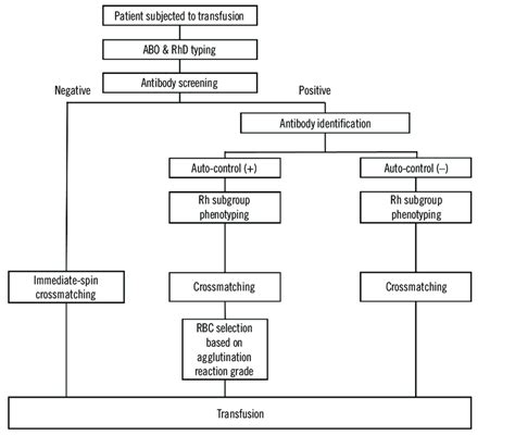 Flow Chart Of The Pre Transfusion Testing Protocol Abbreviation RBC