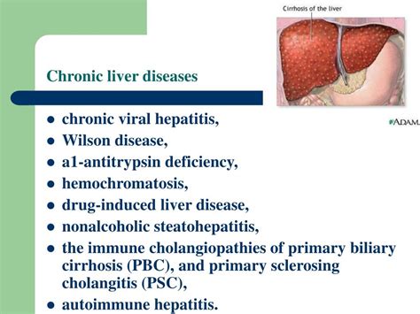 Ppt Hepatology Powerpoint Presentation Free Download Id 4145083