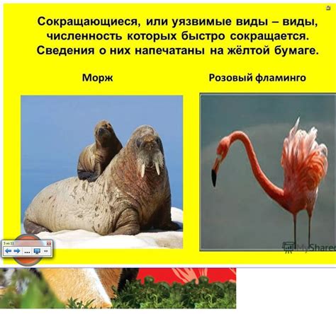 Детям о красной книге.