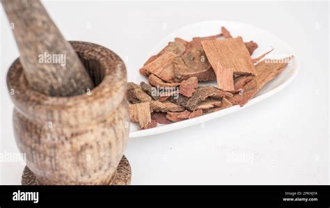 Cassia Fistula Golden Shower Tree Bark Stock Photo Alamy