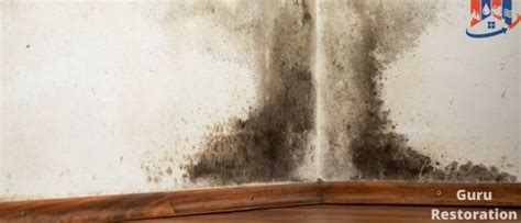 How To Detect Mold In Walls Guru Restoration