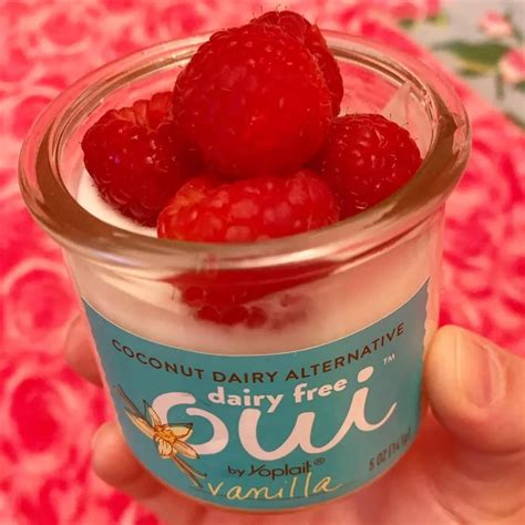 Oui Dairy Free Yogurt Yourneighborhoodvegan