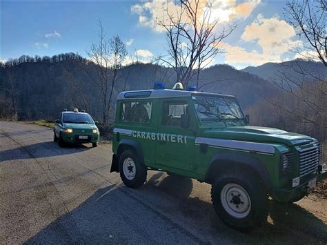 Il bilancio dellattività dei Carabinieri Forestale di Rieti a difesa