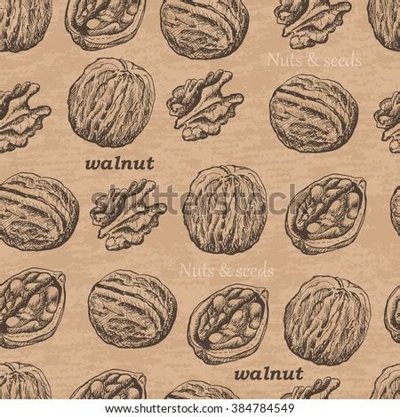 Walnut Seamless Pattern Vector Illustration Nut Stock Vector