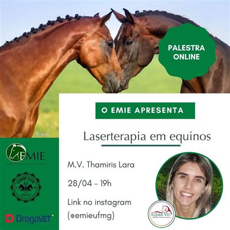 Laserterapia em equinos é o tema de próxima palestra do Emie Escola