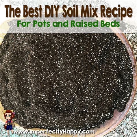 What Is The Best Soil Mix For Raised Garden Beds