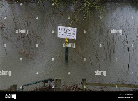 Datchet Floods. River Thames flooding banks and field on private land ...