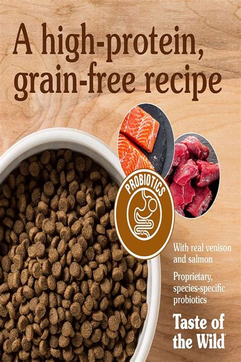 Best Dry Cat Foods Review And Ultimate Buying Guide 2024