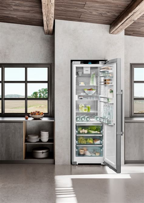 Liebherr RBsdd 5250 Prime Standkühlschrank mit BioFresh Edelstahl