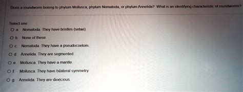 Solved Does A Roundworm Belong To Phylum Mollusca Phylum Nematoda Or