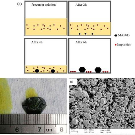 Xrd Patterns Of Mapbi3 Powder And Film Prepared By Sspvd A Eds