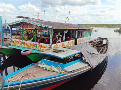 Info Lengkap Tentang Taman Nasional Sebangau KATA OMED