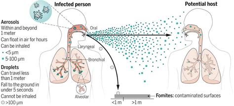 Transmisión Aérea De Virus Respiratorios Fundación Femeba