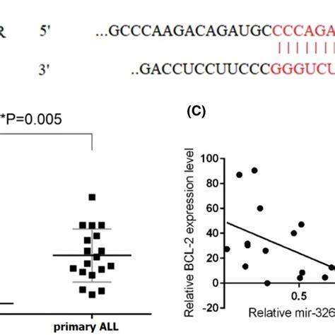 Upregulation Of Bcl 2 Expression Levels In Newly Diagnosed All In Download Scientific Diagram