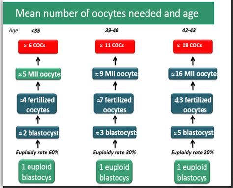 Number Of Eggs Of Success Rates Nova Ivf