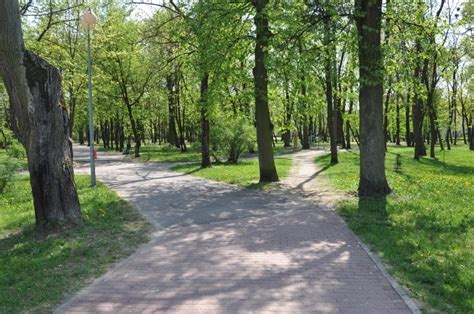 Ostrołęcki park miejski zostanie gruntownie przebudowany Sprawdź co