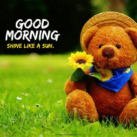 Sweet Good Morning Teddy Bear Images A To Z