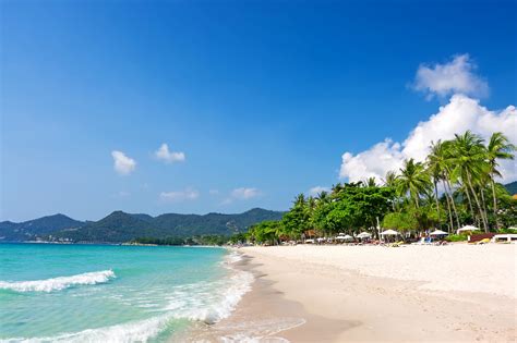 Chaweng Beach Auf Koh Samui Buri Rasa Village Samui