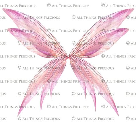 Digital Overlays Png Fairy Wings Set Photo Overlay High