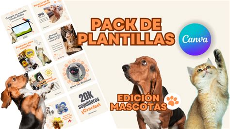 Plantillas Editables En Canva Para Mascotas