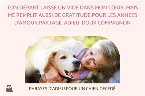 40 Citations pour CHIEN DÉCÉDÉ Belles et touchantes